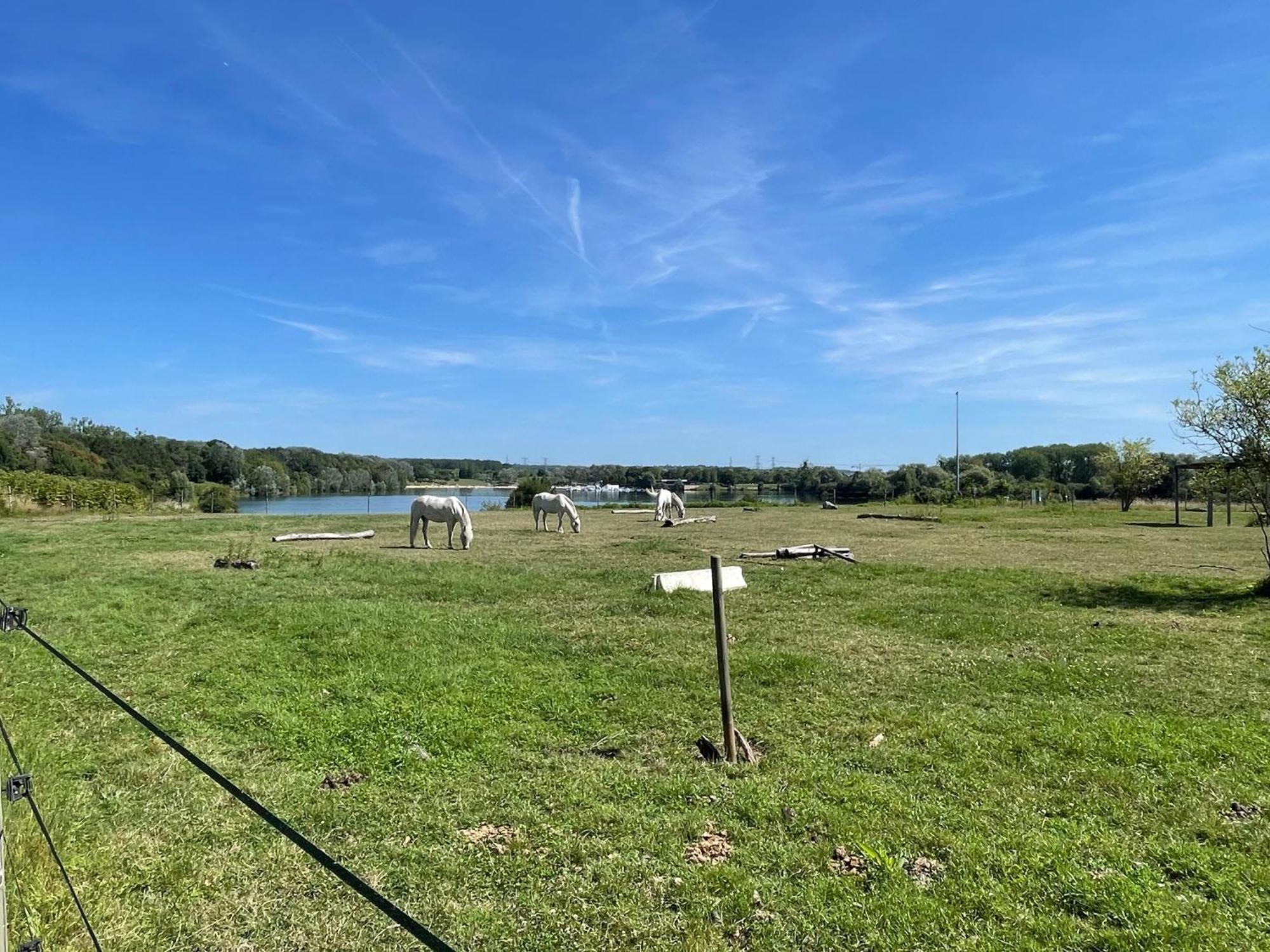 Chambre Climatisee, Entre Paris Disneyland, Au Coeur Des Jeux Olympiques Canoe-Kayak, Vaires-sur-Marne Экстерьер фото